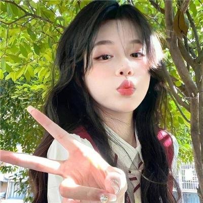 聪明的小母鸡封面