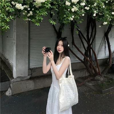 明月守护者封面